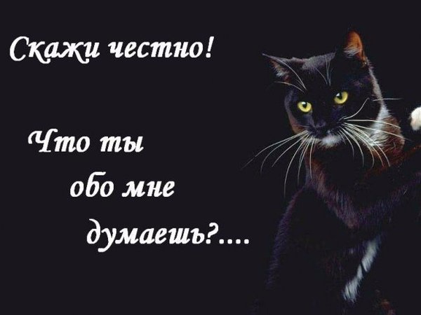 Думал ли он обо мне сегодня. Думай обо мне. Что ты думаешь обо мне. Ты не думаешь обо мне. Обо мне.