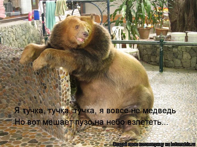 Котоматрица: Я тучка, тучка, тучка, я вовсе не медведь Но вот мешает пузо на небо взлететь...